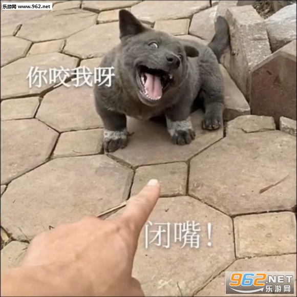Ӣ�����������