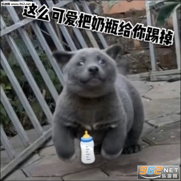 Ӣ�����������