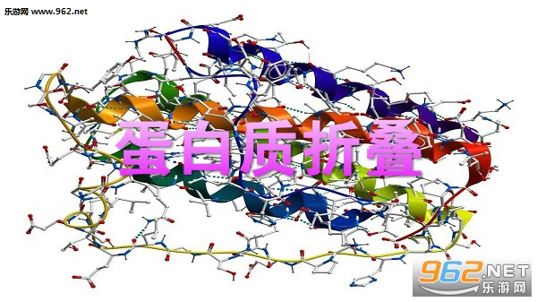 蛋白质折叠foldit游戏手机版在哪里下载 蛋白质折叠游戏怎么玩 蛋白质折叠foldit游戏手机版在哪里下载 蛋白质折叠游戏怎么玩