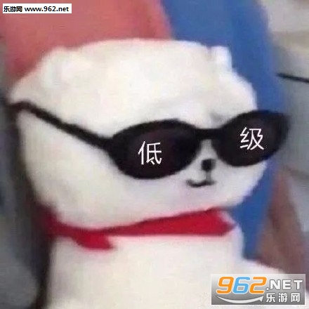 �����ī�������
