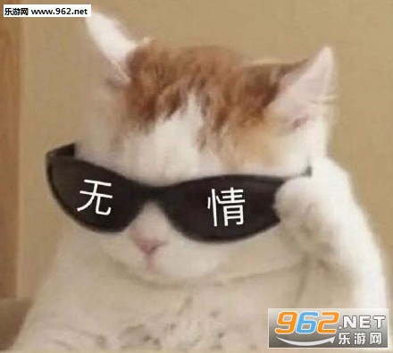 �����ī�������