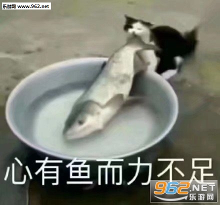 ����ѧҵ��æ�����