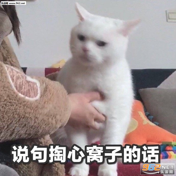 说吧要什么表情包 说吧要什么表情包
