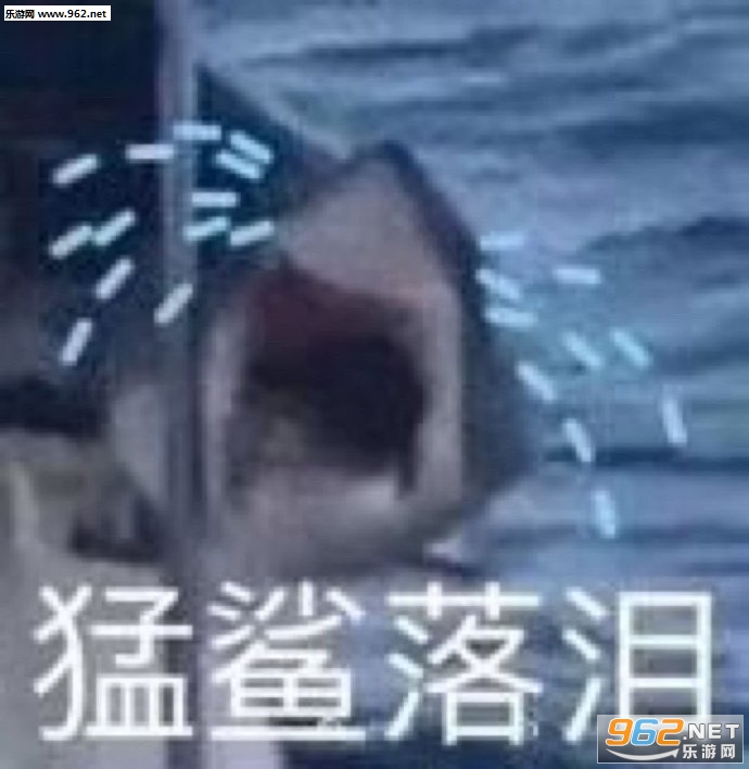猛鲨落泪表情包 猛鲨落泪表情包