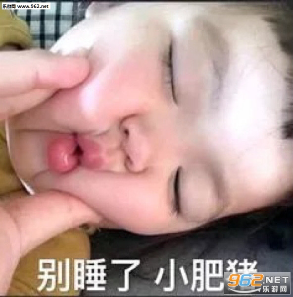 猛鲨落泪表情包 猛鲨落泪表情包