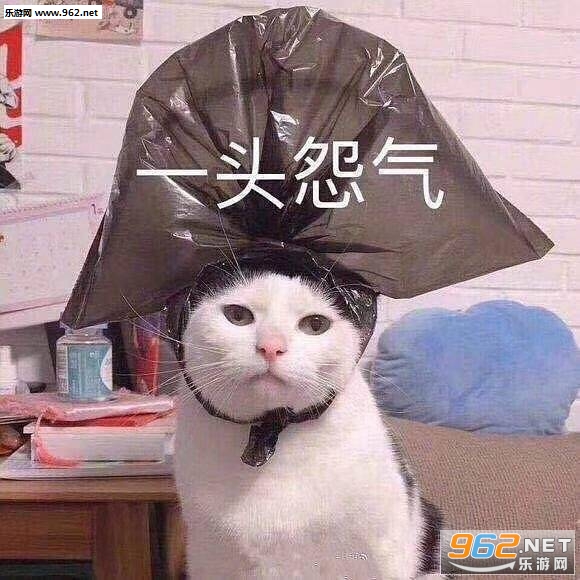 猛鲨落泪表情包 猛鲨落泪表情包