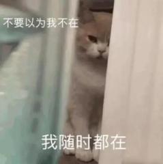 ���㰮������