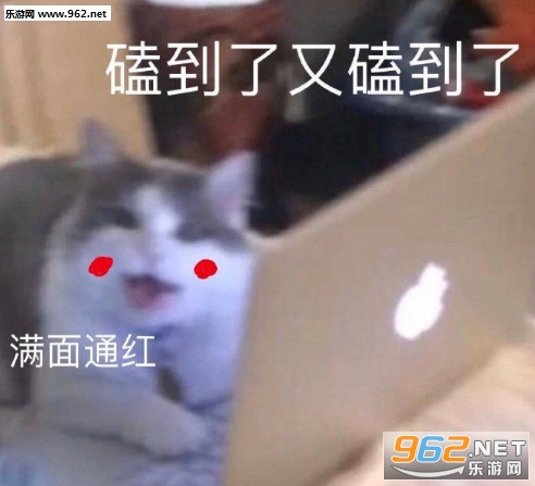 民政局自己走过来了图片表情包 民政局自己走过来了图片表情包