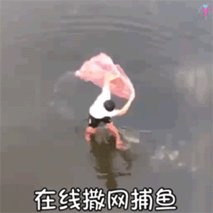 ����������������