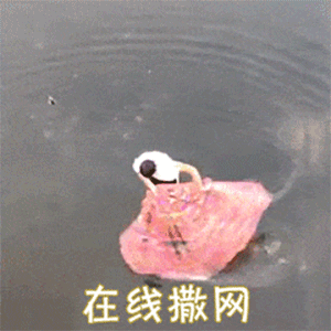 ����������������