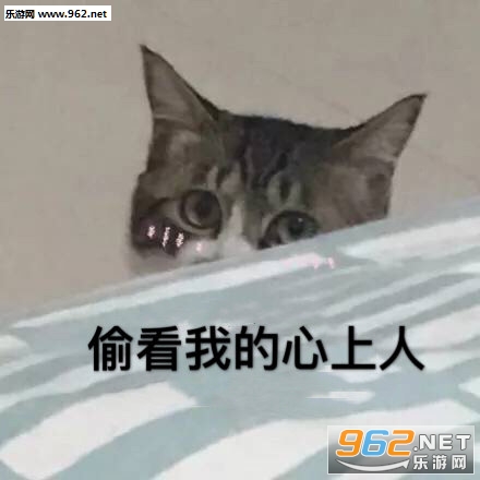�޴����ŵ�С�ֵı����