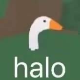 ΢�Ŵ�׶�����