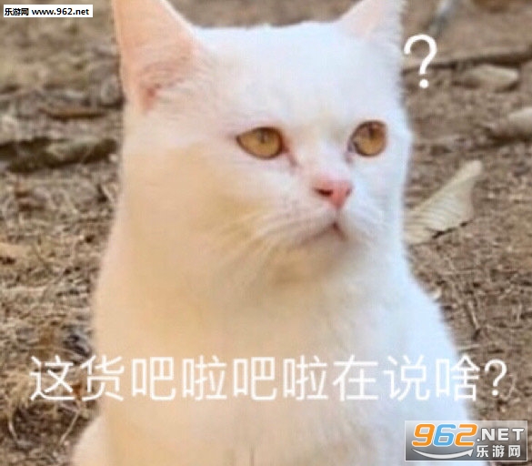 你变坏了表情包 你变坏了表情包