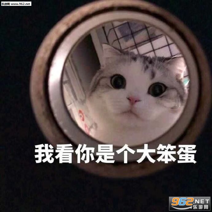 ���ֶ���欱����