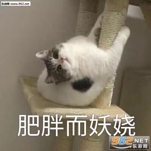���ֶ���欱����