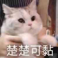 聊天吗一小时两元表情包 聊天吗一小时两元表情包