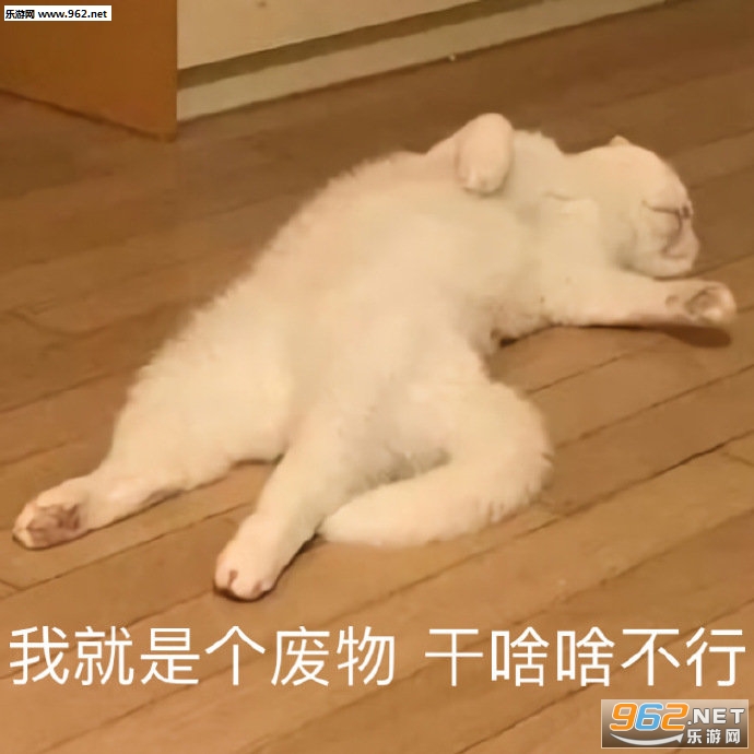 聊天吗一小时两元表情包 聊天吗一小时两元表情包