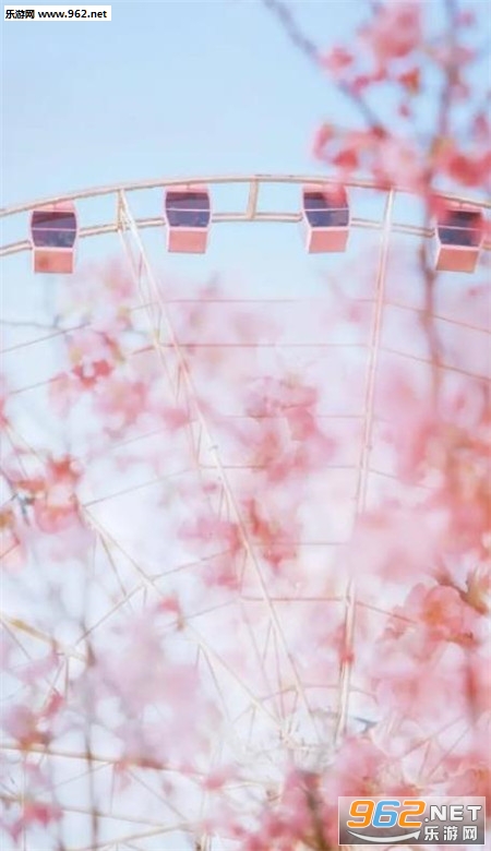 樱花手机壁纸高清唯美