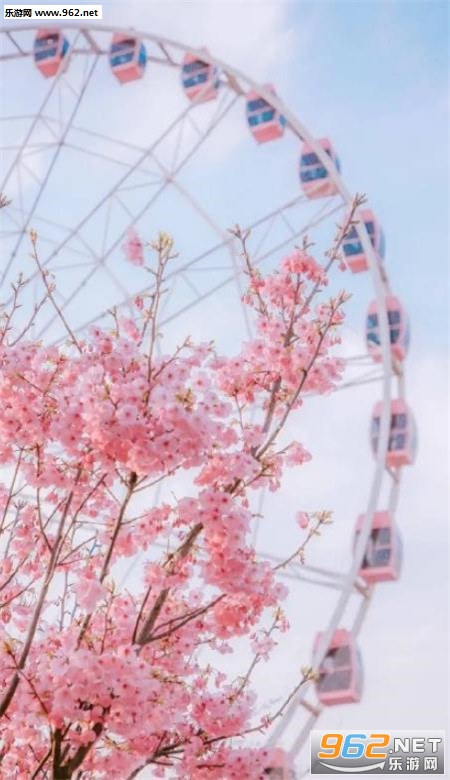 樱花手机壁纸高清唯美