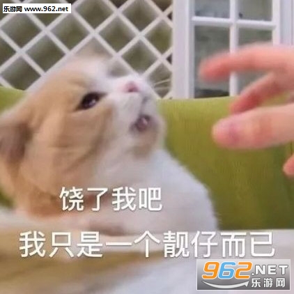 萨摩耶我鬼混回来了表情包