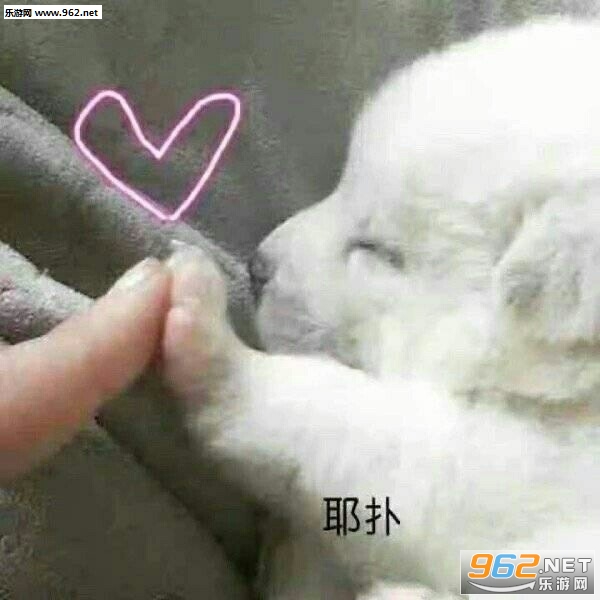 ��ɹ�ʶ�����