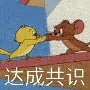 ��ɹ�ʶ�����