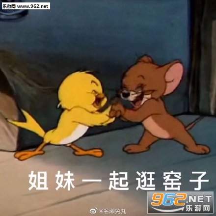 ��ɹ�ʶ�����