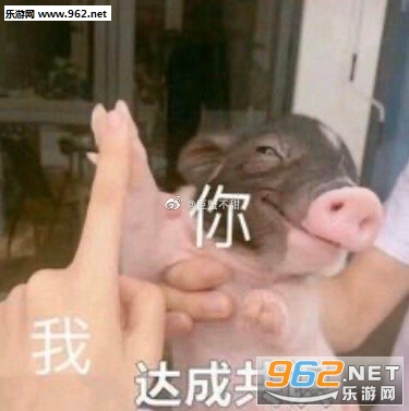 ��ɹ�ʶ�����