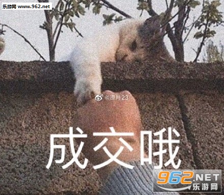 ��ɹ�ʶ�����