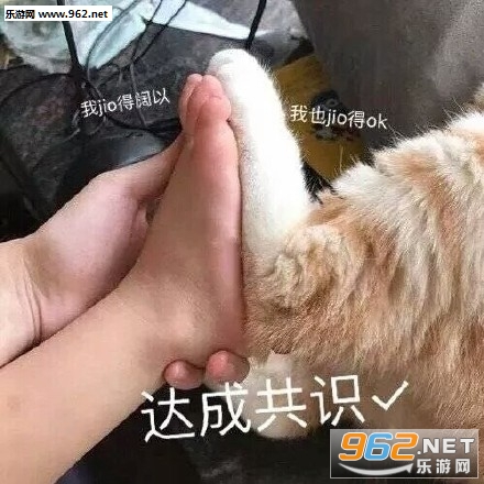 ��ɹ�ʶ�����