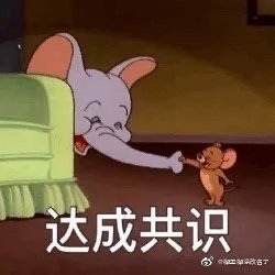 ��ɹ�ʶ�����
