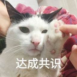 ��ɹ�ʶ�����