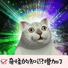 ���۵ĳ̶������˱����