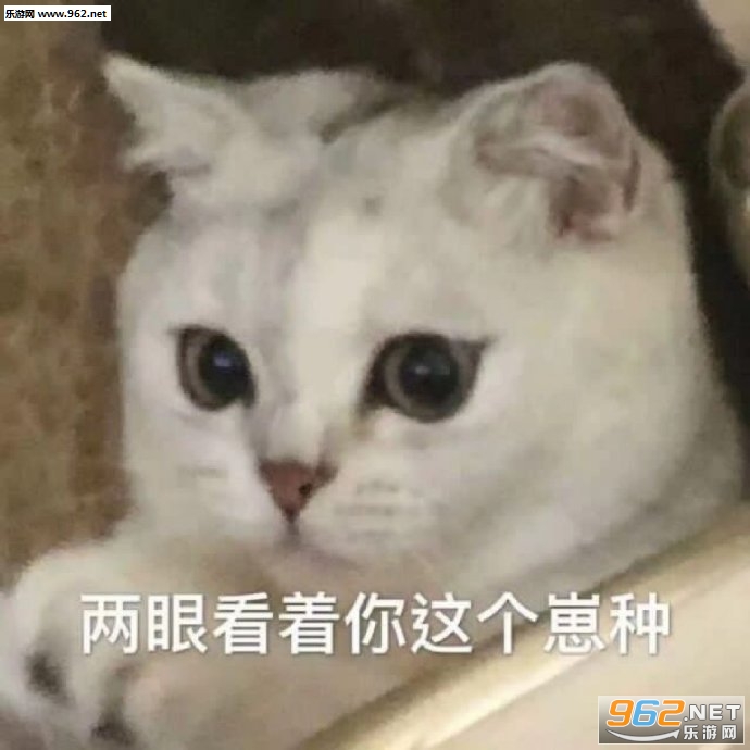 �˼Ҿ����벻�����С���������