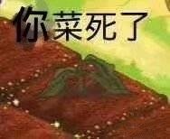 我去宇宙了回来摘星星给你图片 我去宇宙了回来摘星星给你图片