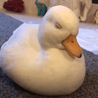 ���˯�������ͼ
