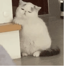 ���˯�������ͼ