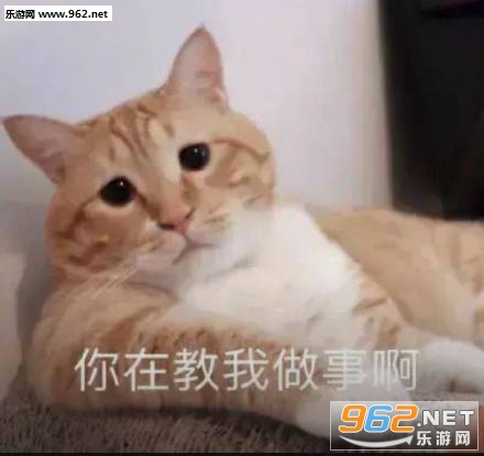 ���Ǵ�δ�����ı����