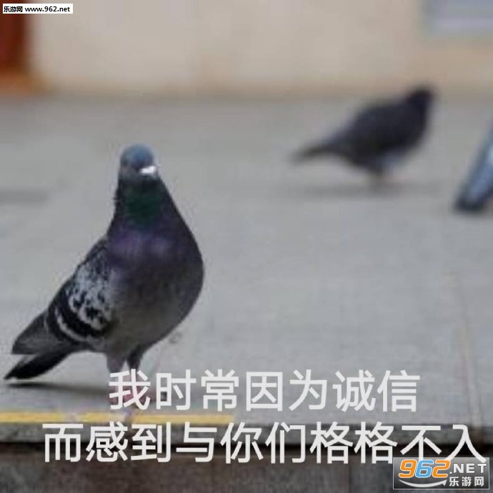 �Ϻ���������