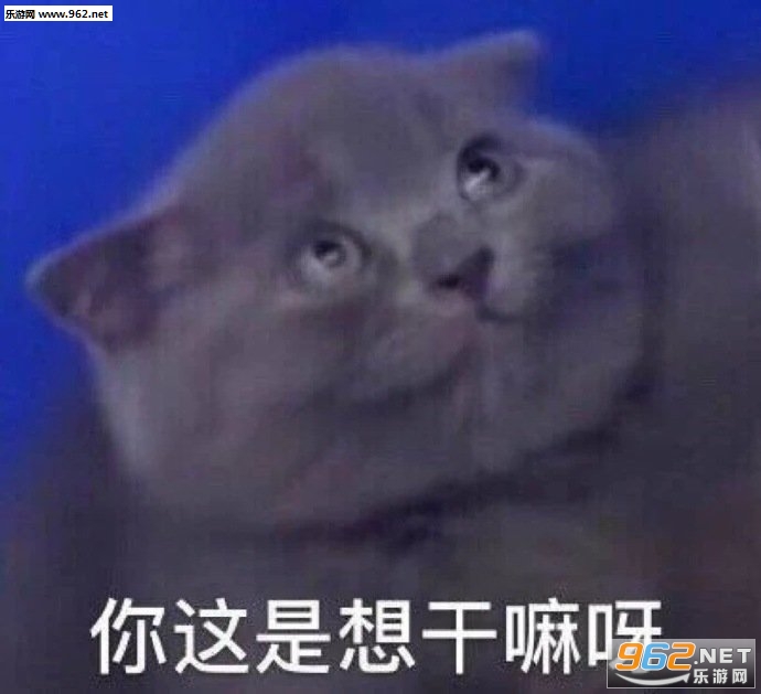 游戏还是比我重要表情包 游戏还是比我重要表情包