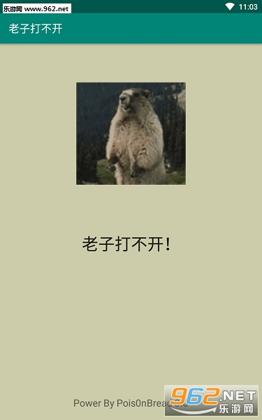 ���Ӵ򲻿�app