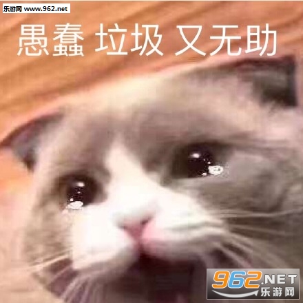 �Ա������
