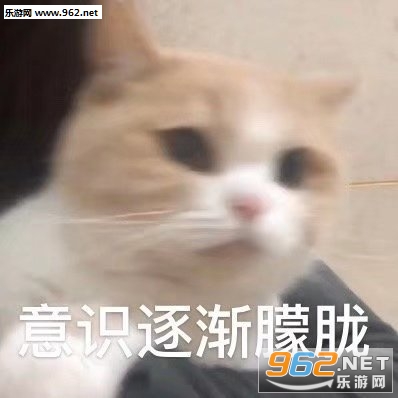 ������ɵ�ӱ������ͼ4