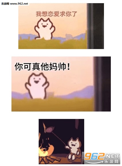 ׷�𳵵�è�������ͼ0