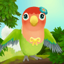 Bird BnB(����ӭ���İ�)