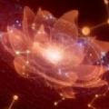 ��ͼ����Cyberverse app