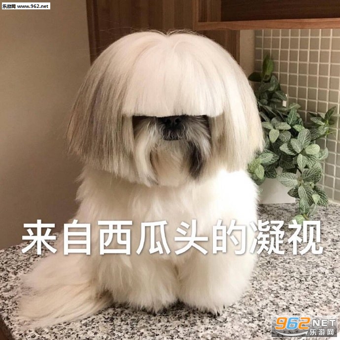 �����к��������Ұ��ҳ���������ͼ2