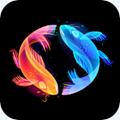 ˫��ת�ٷ�APP