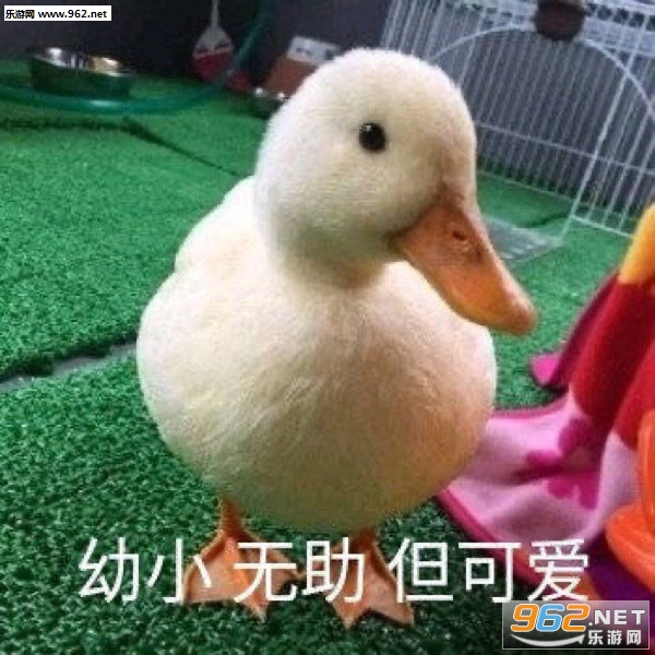 С�������Ƿ��кܶ���Ҳٱ������ͼ3