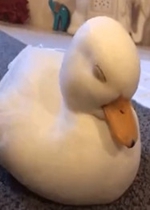 ���˯�������ͼ